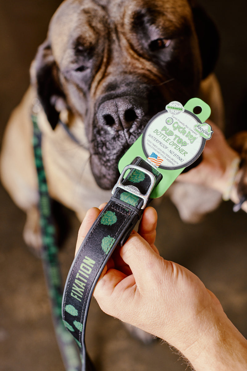 Dog collar shop beer opener